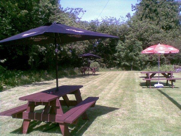 Emlyn Arms Bed & Breakfast Llanarthney Exterior photo